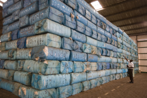 Benin Cotonou Projekt - Cotton Made in Africa Baumwollterminal im Hafen - Hafenarbeiter zählt die Ballen mit Baumwolle bevor sie in Container verladen werden
